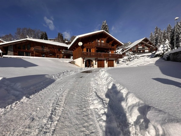 Chalet spacieux avec vue panoramique pour 8 personnes – Les Carroz